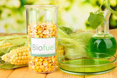 Surrex biofuel availability