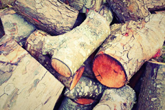 Surrex wood burning boiler costs